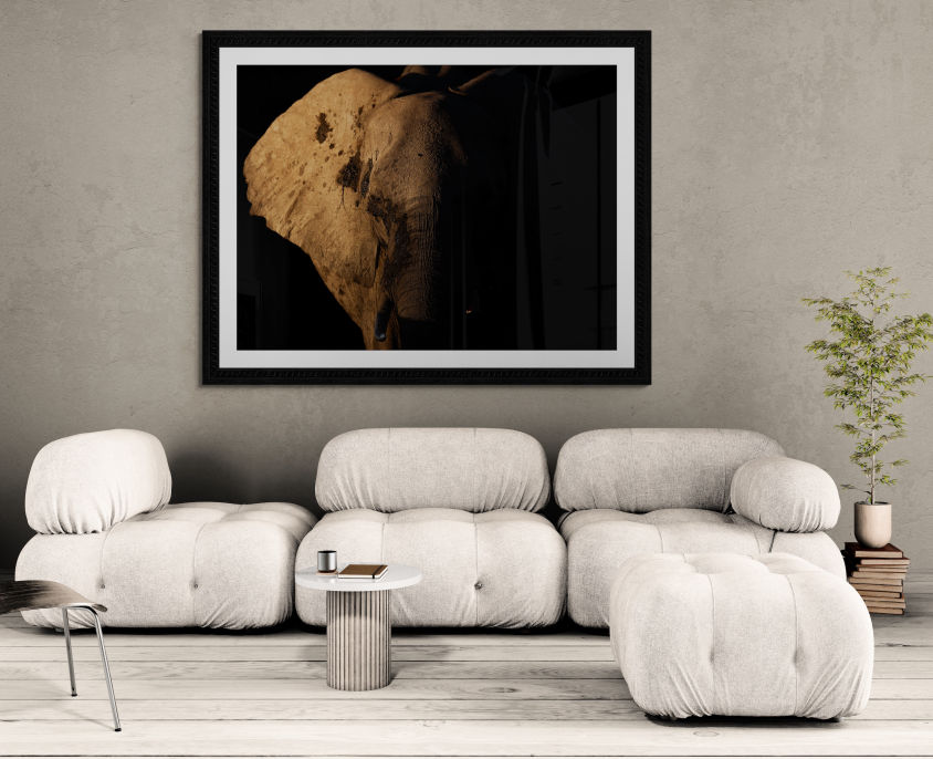 Framed wild-life print on living room wall 