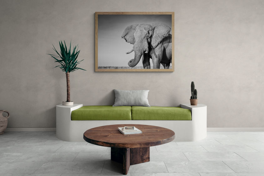 Elephant, Black and White print
